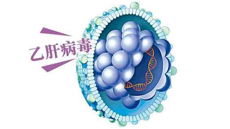 有乙肝的妈妈就要检测病毒载量吗,准妈妈携带乙肝病毒