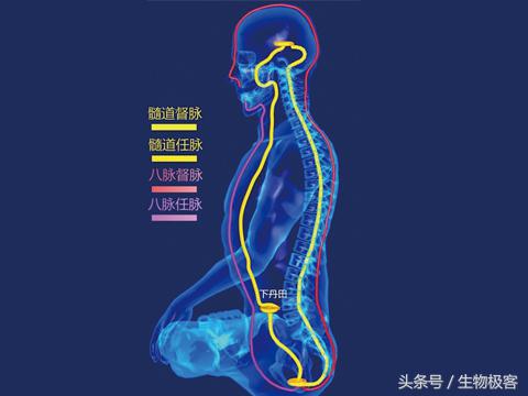 摄入果糖过多导致肥胖怎么弥补,科学研究发现降低血糖的食物