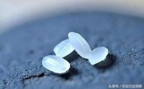 深度｜从日本大米品牌打造谈中国大米的未来之路