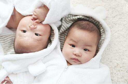 怎么备孕怀龙凤胎的概率大,怀龙凤胎助孕技巧