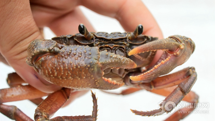 你真的会吃螃蟹吗？送你一份吃蟹“说明书”