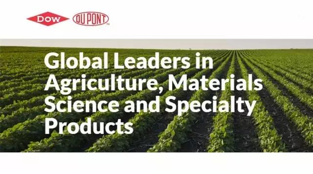 韩国乐天玛特现在怎么样了,韩国乐天玛特最新现状