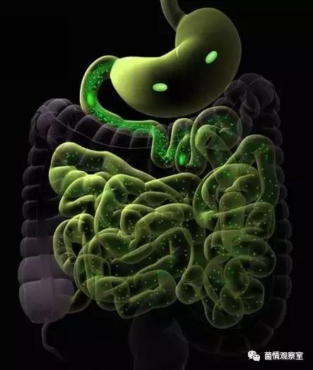 益生菌可以随便吃吧 (益生菌有话说)