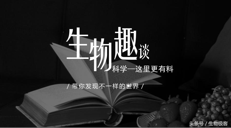 摄入果糖过多导致肥胖怎么弥补,科学研究发现降低血糖的食物