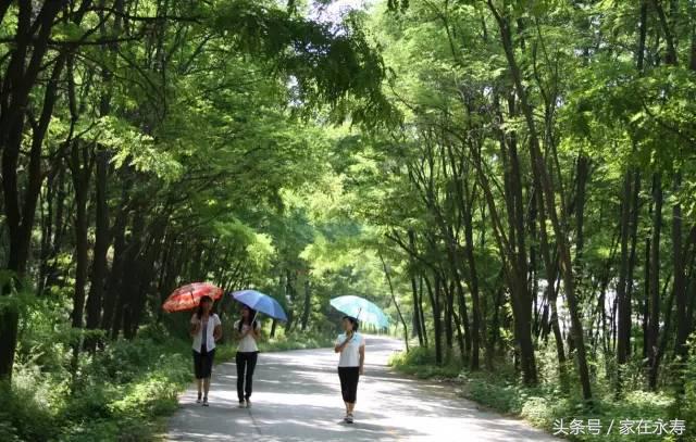 涓浗澶╃劧姘у惂闄曡タ姘稿,姘稿澶╃劧姘у惂