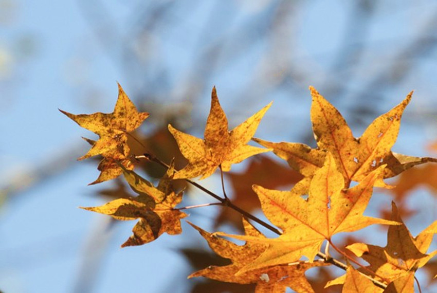 喇嘛沟景区游览攻略,北京喇叭沟旅游攻略