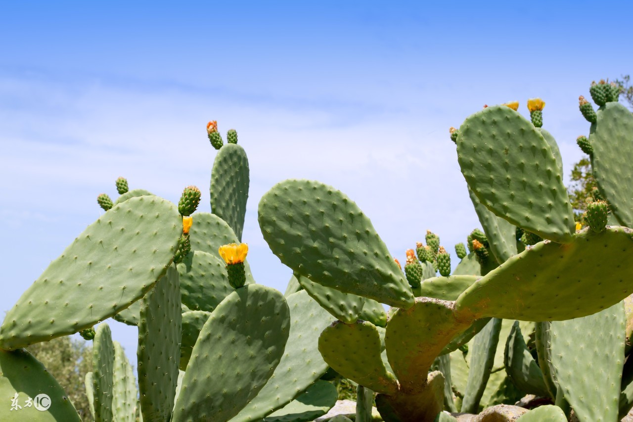野外饮用水知识科普,户外小知识小妙招全集