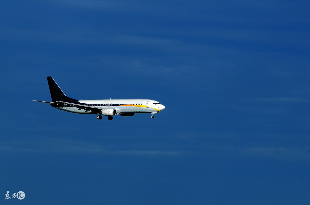 张洁沉重的翅膀片段,沉重的翅膀张洁介绍