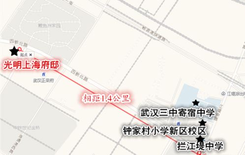 光明地产爆雷复盘,光明地产现状及分析