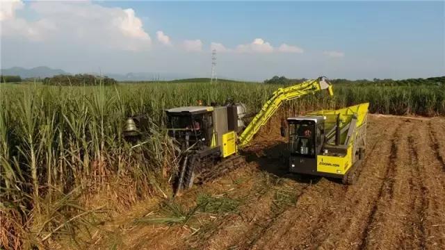 黄金搭档甜蜜相约—中联重科AS60甘蔗机+转运车开启蔗收新模式