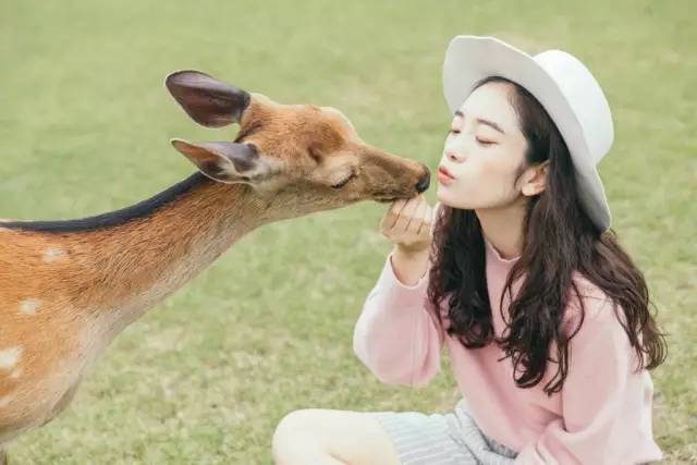 比较好看的淘宝女装店推荐,好看又实惠的淘宝女装店