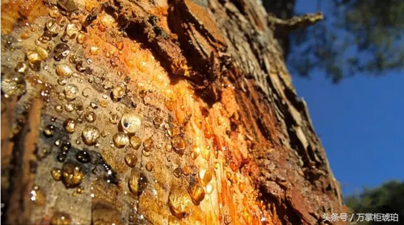 蜜蜡流淌纹和搅动纹的样子,琥珀蜜蜡流淌纹鉴别