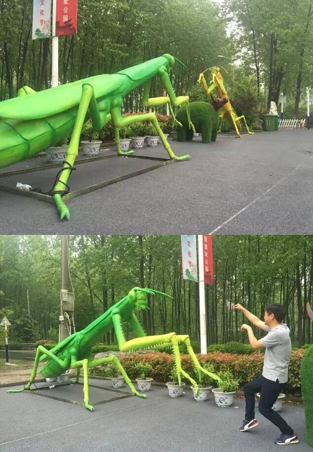 合肥瓜牛公园丛林探险,合肥瓜牛公园到底好不好玩