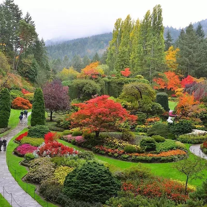 2018加拿大签证新政策是什么样的,2017加拿大签证攻略