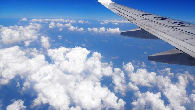 蝉尿有什么用,蝉尿没气味