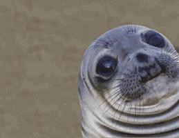 为什么现在的人都穿fake,为什么现在人喜欢买假鞋