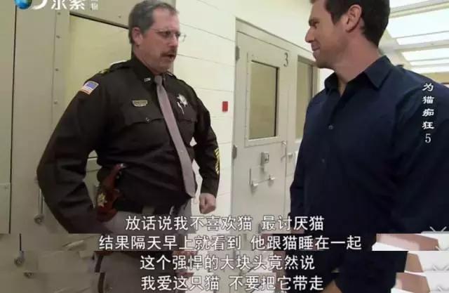 吸猫电影完整版免费,吸猫满足哪些需要