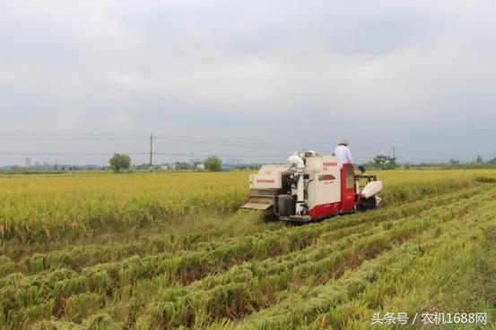 洋马收割机操作全过程,洋马收割机第一视角