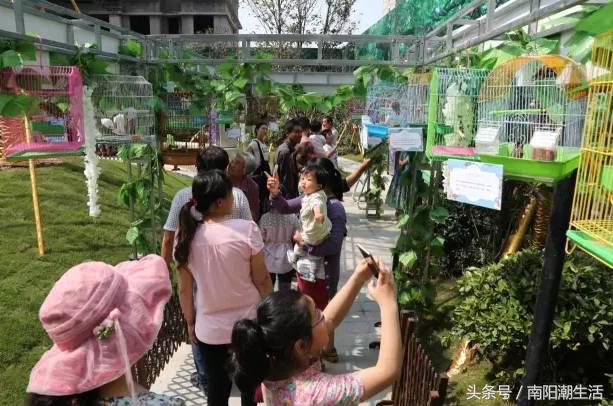 百鸟展门票,百鸟展门票早鸟票