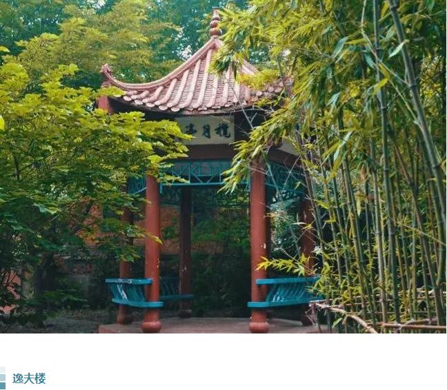 九江六中好不好,好久不见六月