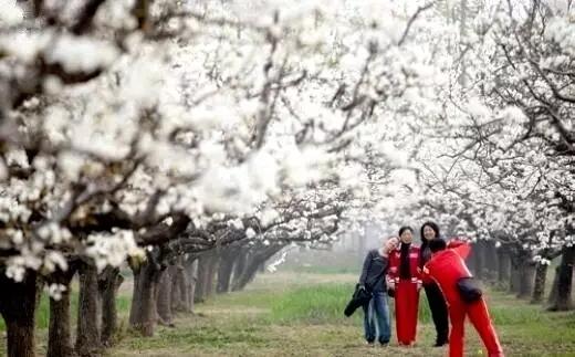 藁城为何突然发展起来了,藁城以后的发展