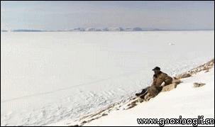 治牙疼幽默搞笑,搞笑段子你是不是有病去医院看