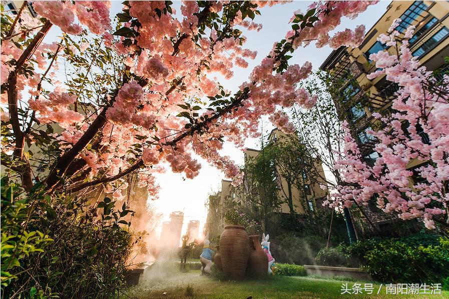 百鸟展门票,百鸟展门票早鸟票