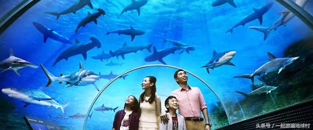 台湾八天自由行攻略,台湾亲子自由行攻略