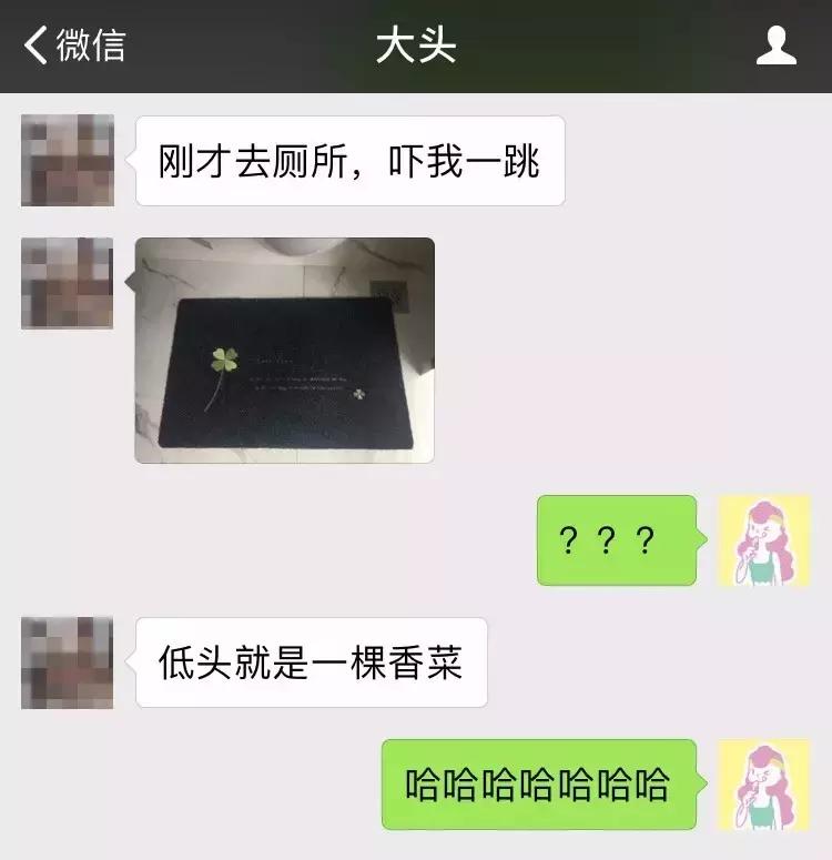 测了17款“网绿”香菜零食,种下了这几样草