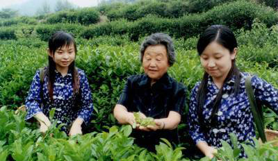 商洛景区当地小吃特产,商洛地区哪个县的特产最好