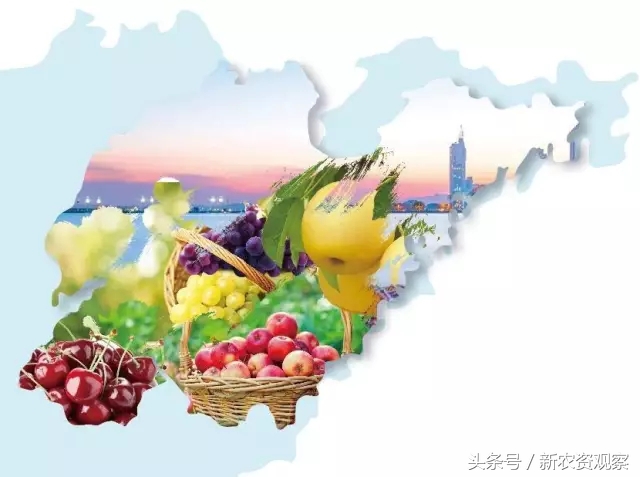 山东农资行业,农资市场存在的问题