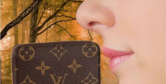 315打假正品次品,315假货判定流程