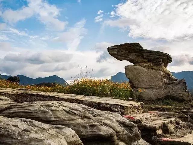 去武汉的机票白菜价,武汉飞哪里机票便宜十二月