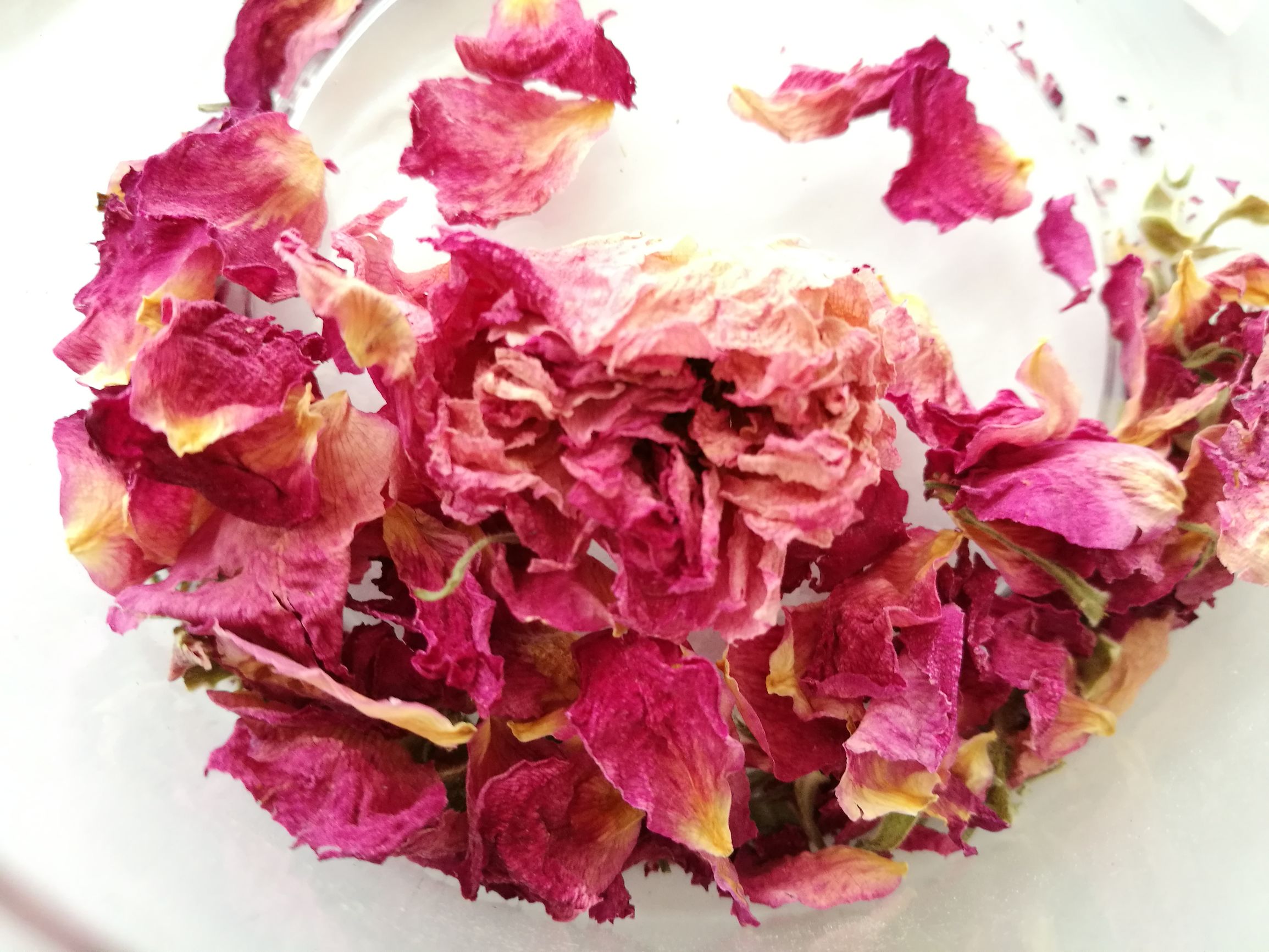 美容养颜祛斑的玫瑰花茶,美容养颜玫瑰花茶