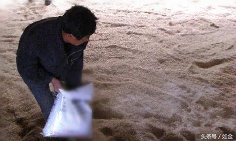 制作发酵床的技术视频教程,发酵床的制作方法和配方