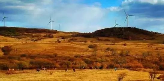 秦皇岛秋景最好的地方 (秦皇岛周边十月赏秋色的地方)