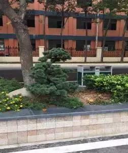 太阳能路灯自助洗车点,栖霞区迈皋桥自助洗车