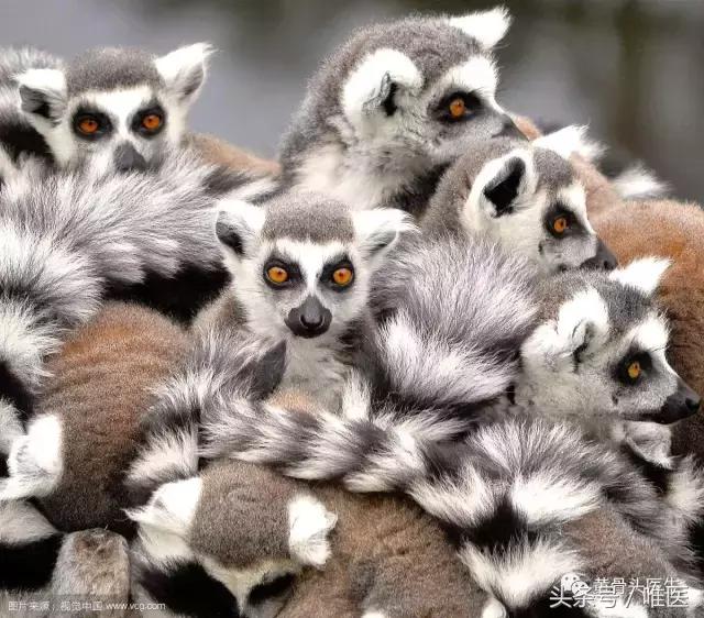 经常崴脚这些护踝功课快快收起,怎么样才能避免运动时脚崴