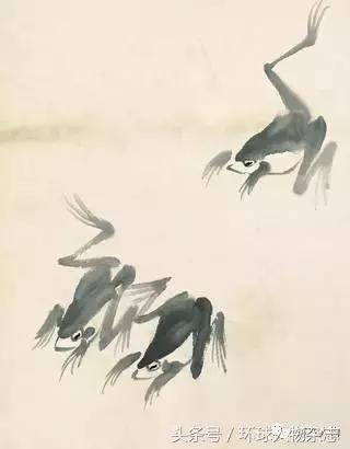 齐白石艺术传奇,齐白石的吝啬与慷慨阅读