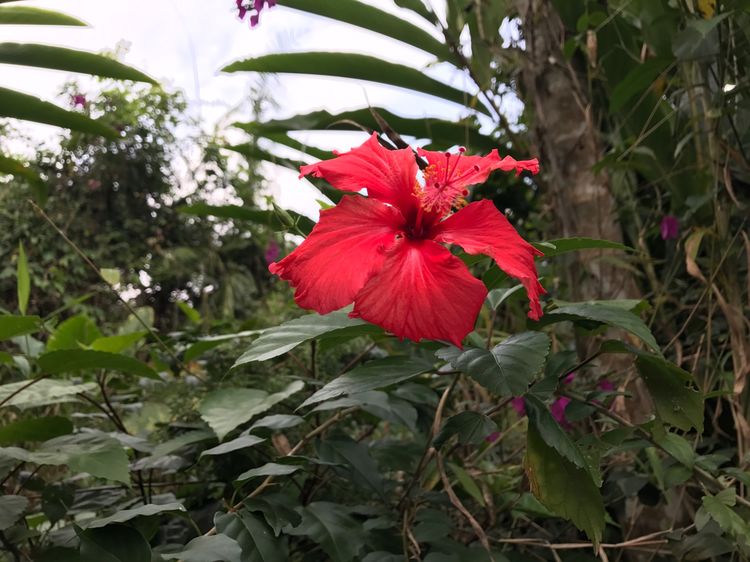 北纬18度的爱意味着什么,北纬18度的爱