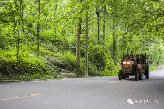 四川旅游一条很直的公路,四川唯一一条有路灯的高速公路