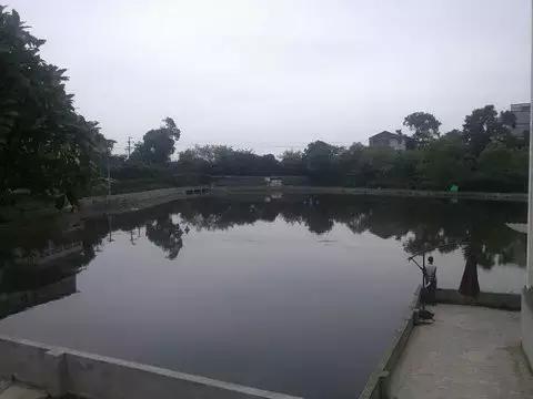 精选南岸嘿巴适农家乐，这个国庆有得耍，让你嗨到不想回家！