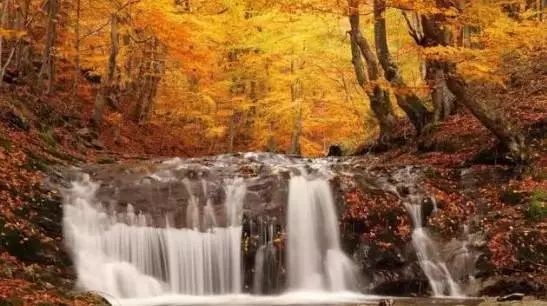 秦皇岛秋景最好的地方 (秦皇岛周边十月赏秋色的地方)