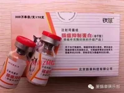 猫咪药品推荐,猫咪平替药品