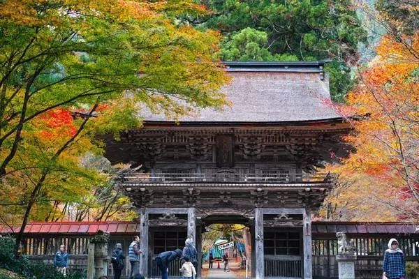 京都岚山小火车旅游攻略,京都岚山枫叶攻略