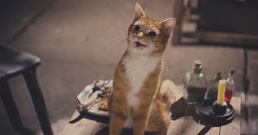 可爱猫咪动画片有哪些,十大可爱的猫咪动画片