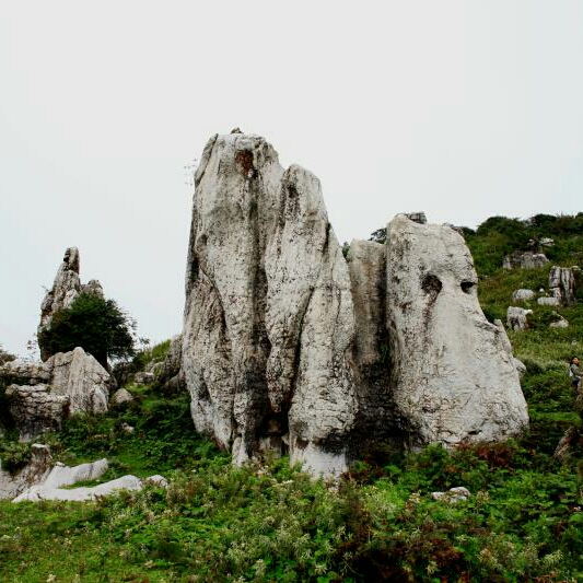 手把手教你学会排八字,排八字的详细步骤及口诀