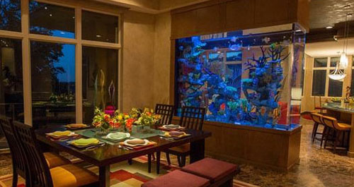 新手怎么挑选一款好点的鱼缸,品牌鱼缸和定制鱼缸