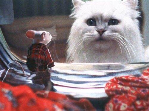 可爱猫咪动画片有哪些,十大可爱的猫咪动画片