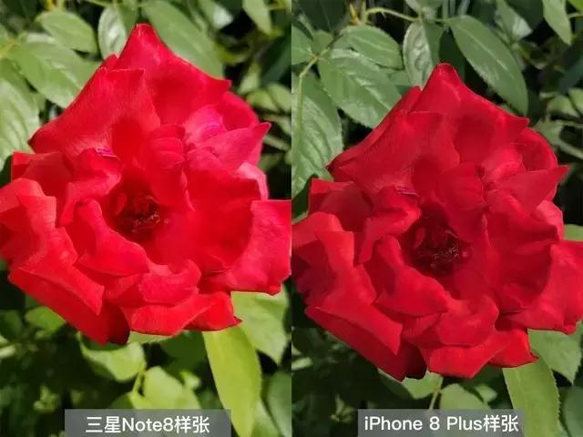 iPhone8全面评测，升级点有这几个此文章转自中关村在线